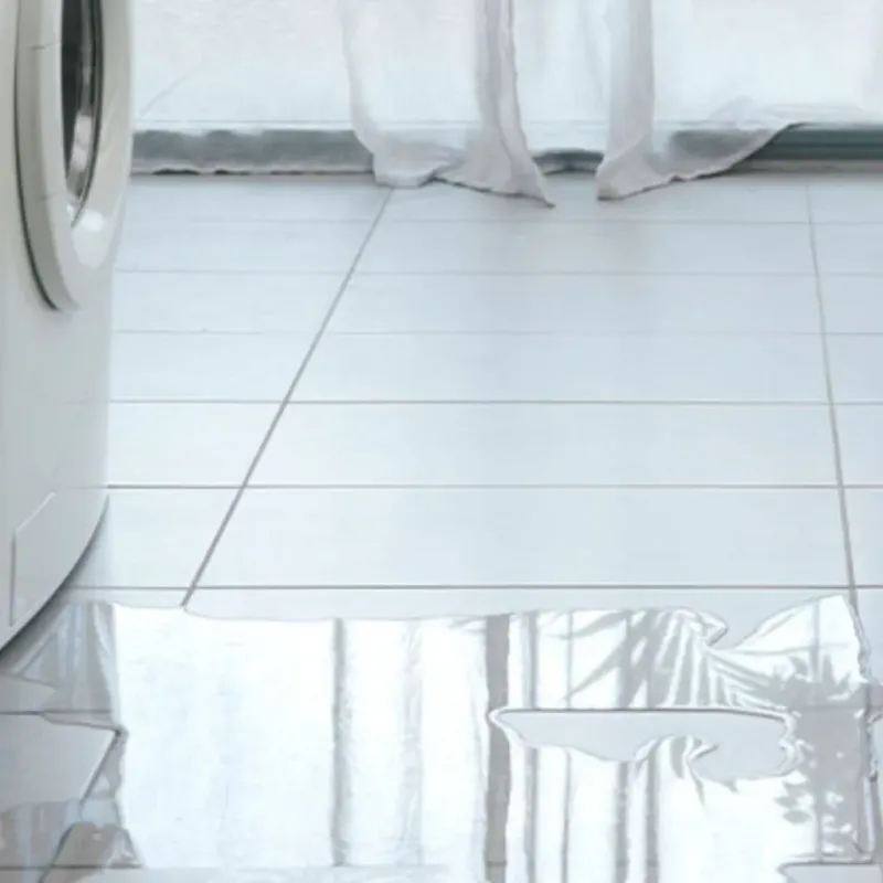 Appliance Leak Cleanup in Solana Beach, CA