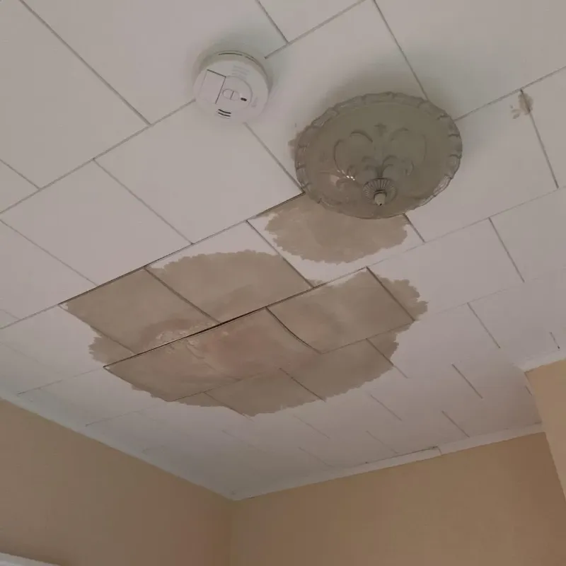 Ceiling Water Damage Repair in Solana Beach, CA